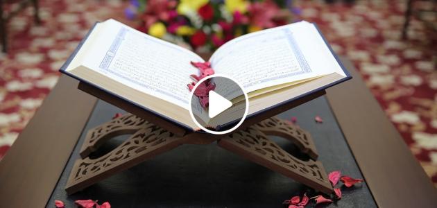 قال عنها النبي ﷺ.. من أراد البَرَكة فى كل أمُور حياته عليه بهذه السورة .. تعرف عليها