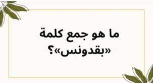 لغز حير العقول.. هل تعرف جمع كلمة بقدونس في اللغة العربية؟.. هتنصدم لما تعرف.!!