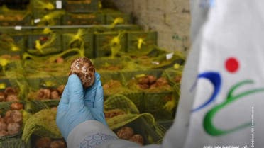 الغذاء والدواء السعودية تمنع دخول 12 ألف كيلو من الفقع متعفّنة
