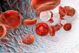 حقائق عن فقر الدم الناتج عن عوز فيتامين B12